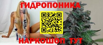 гидропоника Кумертау