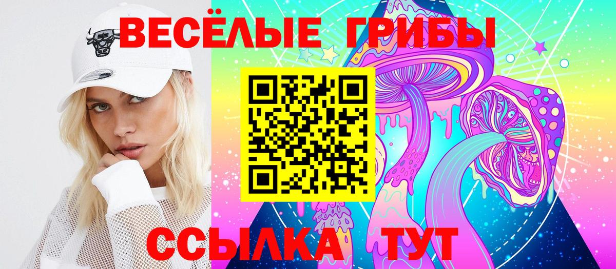Галлюциногенные грибы прущие грибы Шебекино