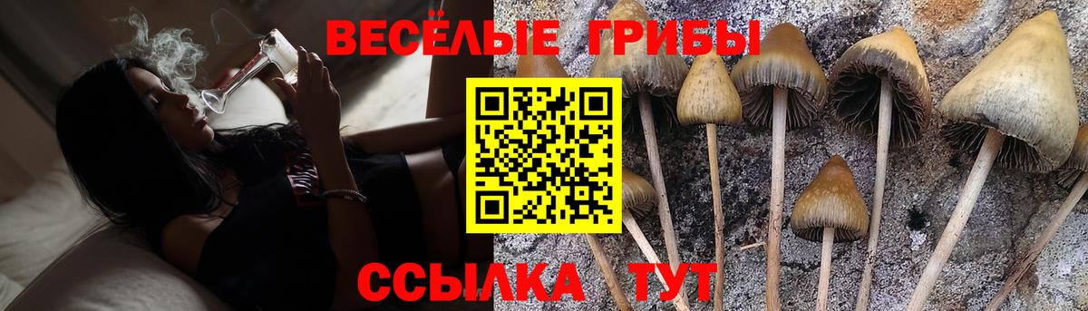 Шебекино  Галлюциногенные грибы Magic Shrooms  Вход с VPN 